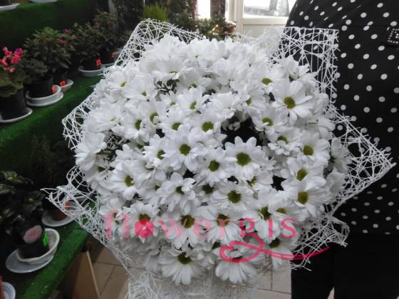 Запах ромашек